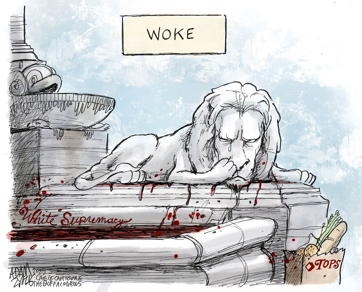 Buffalo's Sleeping Lion